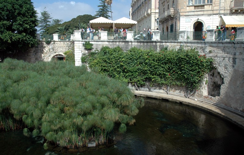 Fonte Aretusa